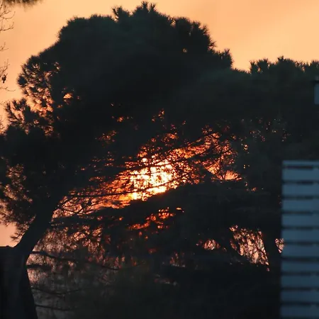 Διαμέρισμα Casa Di Tea Ii